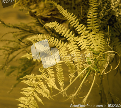 Image of autumn background