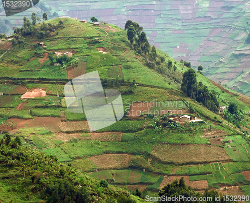 Image of Virunga Mountains in Africa