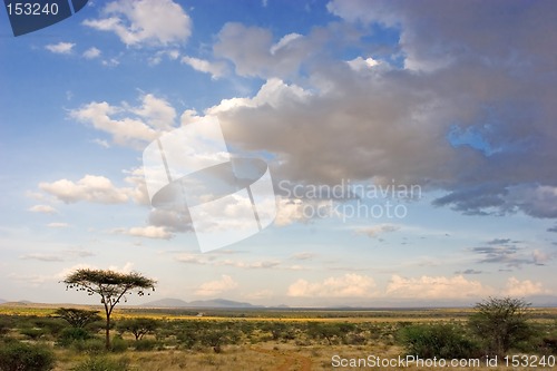 Image of African Landscape