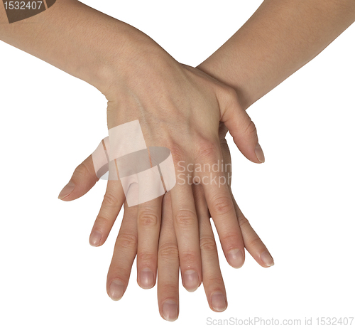 Image of two feminine hands