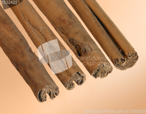 Image of cinnamon sticks in a row