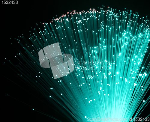 Image of plastic optical fibers