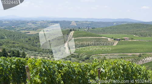 Image of Chianti region in Tuscany