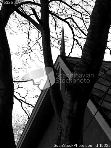 Image of roof top