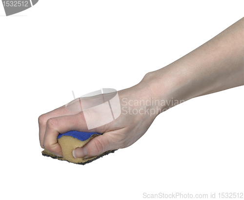 Image of hand scrubbing with a sponge