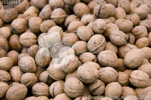 Image of full frame walnut background