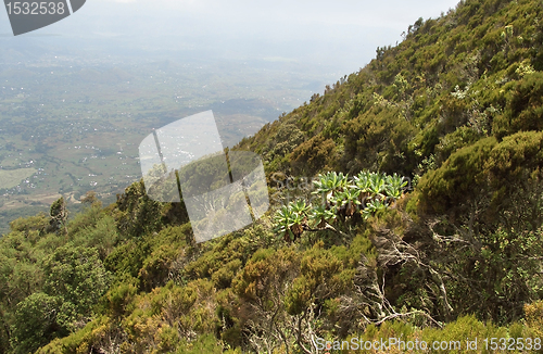 Image of around Mount Muhavura in Africa