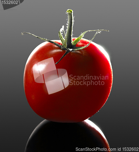 Image of perfect tomato