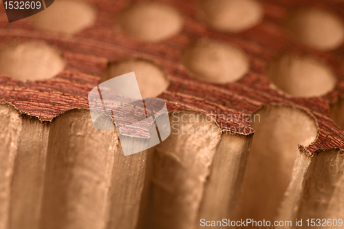Image of porous wood detail