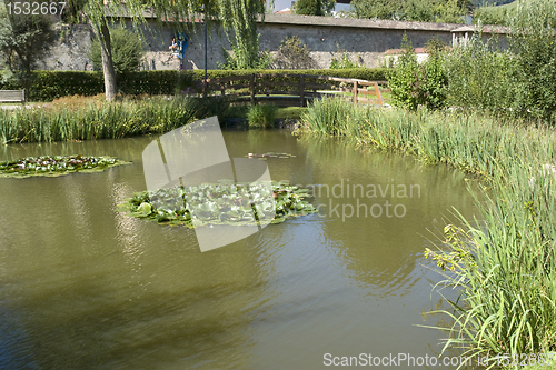 Image of pond of Saint Peter in the Black Forest