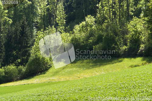 Image of idyllic spring scenery in Hohenlohe