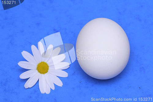 Image of Egg and a flower