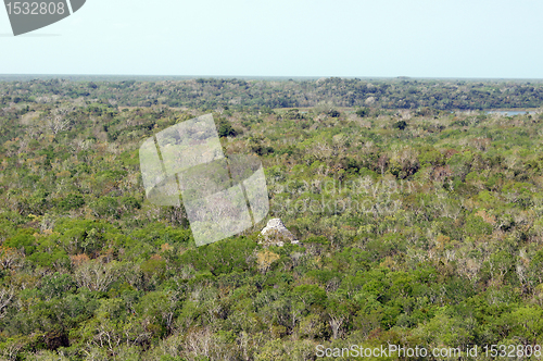 Image of Forest and piramid in Coba