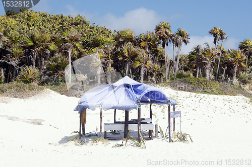 Image of Beach in Tulum