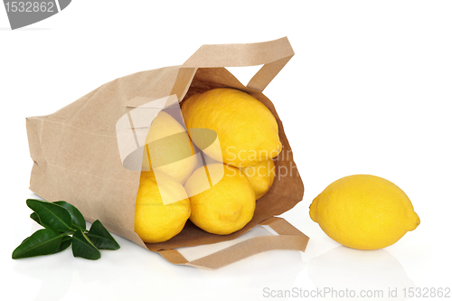 Image of Lemon Fruit