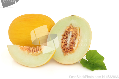 Image of Honeydew Melon