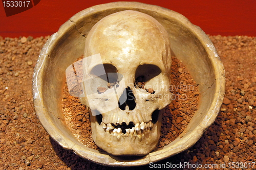 Image of Skull on the plate