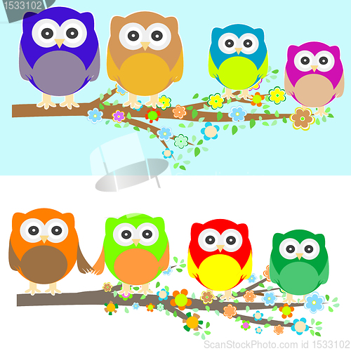 Image of Family of owls sat on a tree branch at night and day