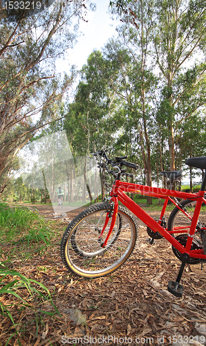 Image of bike in forest