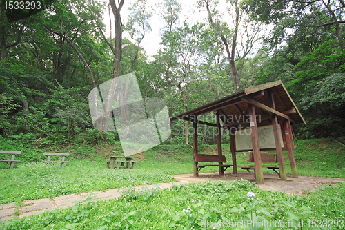 Image of Pavilion in forest at day
