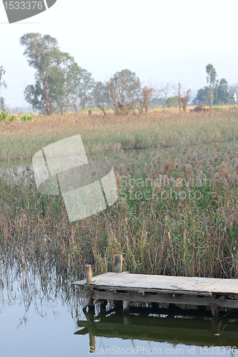 Image of wooden pier in tranquil lake at morning 