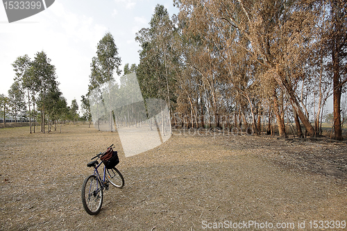 Image of bicycle in a beautiful park 