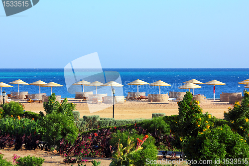 Image of tropical beach and Red Sea