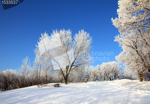 Image of snow winter park under blue sky
