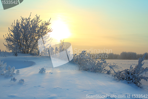 Image of winter morning