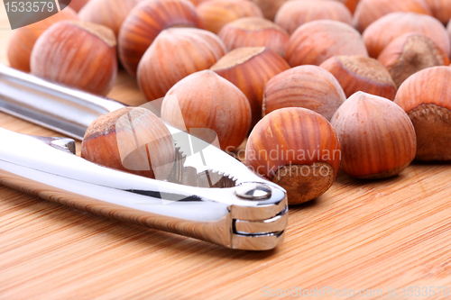 Image of Hazelnuts with nutcracker