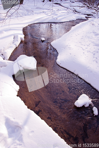 Image of Flowing forest stream winter coast snow water freeze 