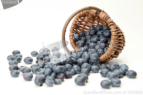 Image of Blueberries