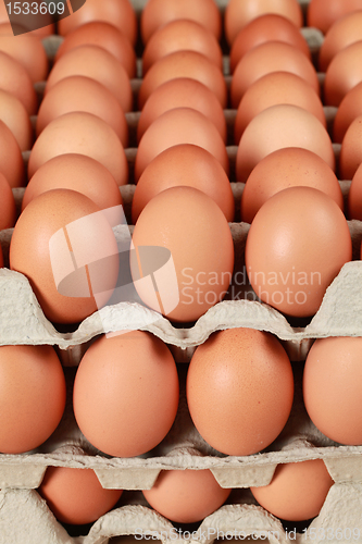 Image of Eggs in a box