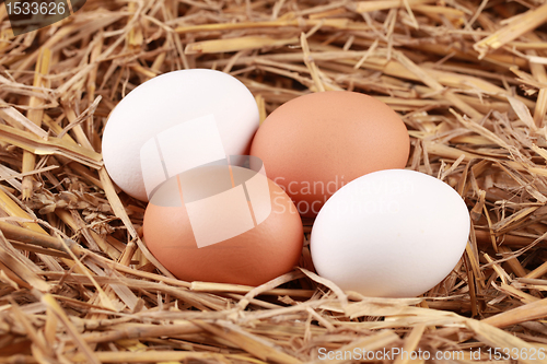 Image of Eggs in straw