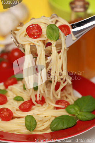 Image of Fresh Spaghetti