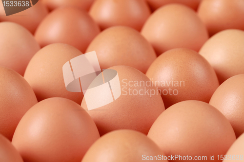 Image of Brown Eggs