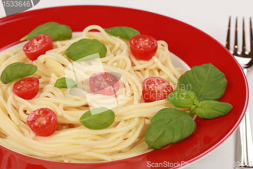 Image of Fresh Spaghetti