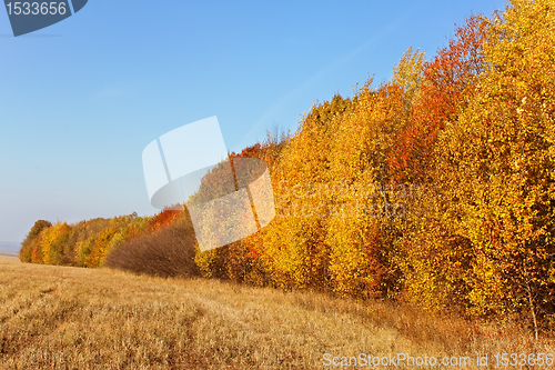 Image of Rural landscape