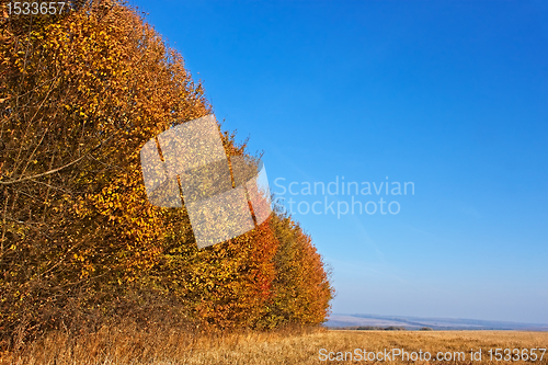 Image of Autumn landscape