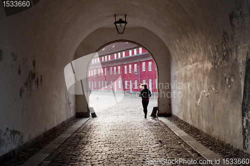 Image of Kastellet fortress in Copenhagen