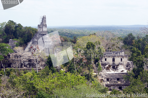 Image of Tikal