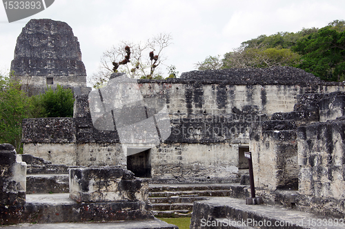 Image of Ruins in Tikal