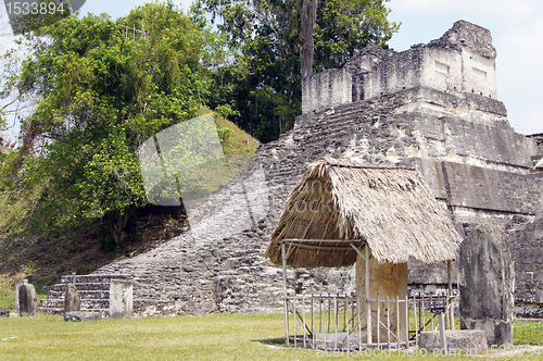 Image of Tikal