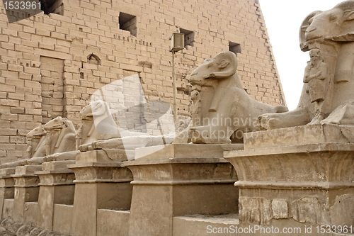 Image of sphinxes at Precinct of Amun-Re