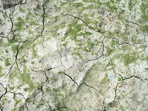 Image of abstract dry organic soil