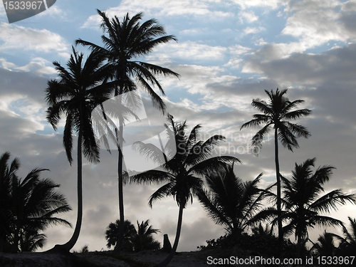 Image of carribean evening scenery