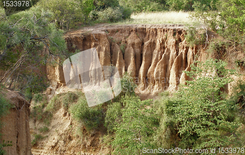 Image of around Lake Albert in Africa