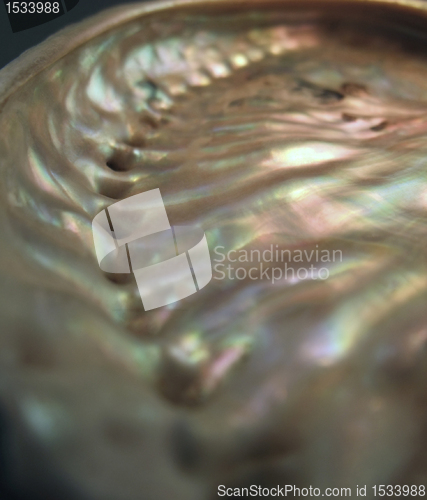 Image of colorful nacre closeup