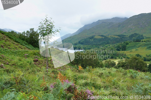 Image of colorful Scottish Highlands