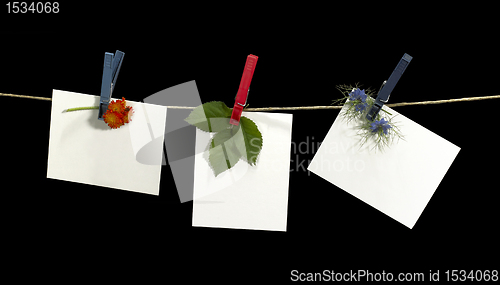 Image of clothesline and labels with flowers